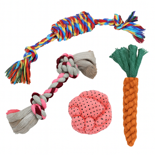 Rope and Rubber Dog Toy Assortment