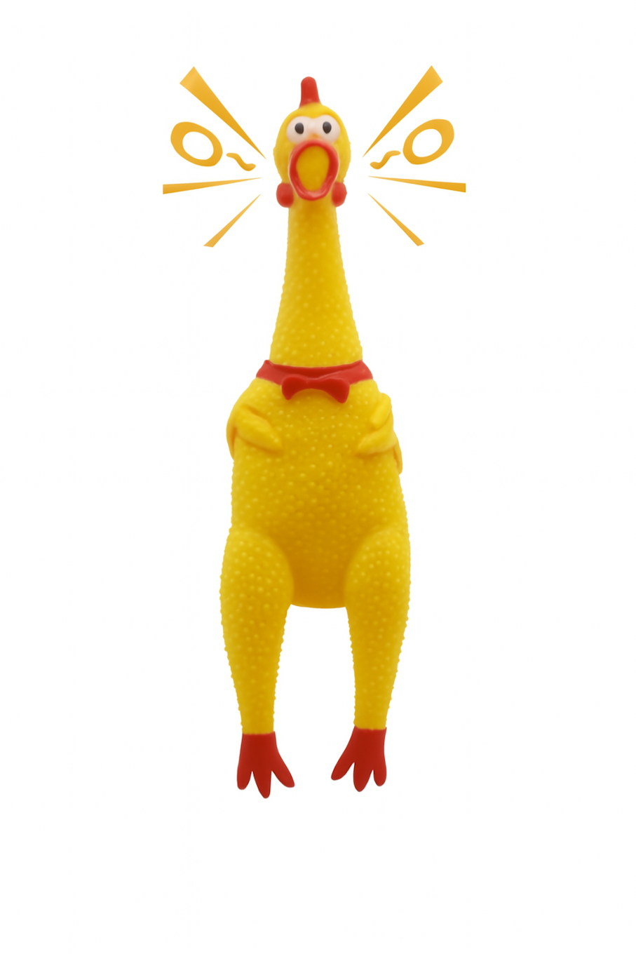 Rope Tug Toy and Squeaky Chicken