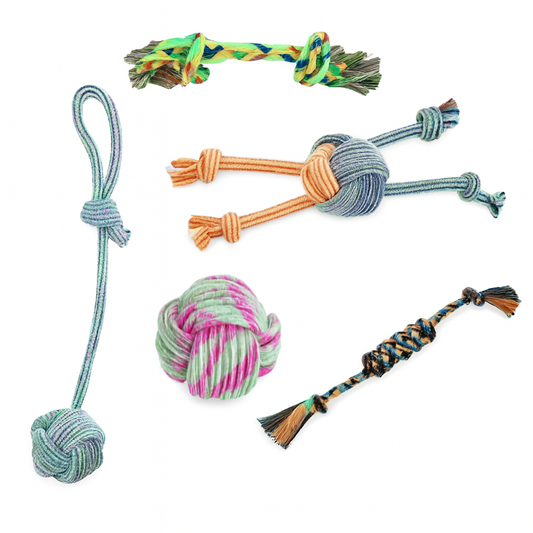6 Pack Durable Rope Toys for Dogs